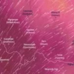Синоптики попереджають: Закарпаття накриє хвиля аномальної спеки