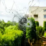 Суд обрав запобіжний захід чоловіку, який стріляв з рушниці у Рівному