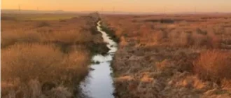 У Львові створять екологічний заказник