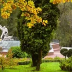У Рівному обрали найкращу концепцію оновлення Рівненського парку Шевченка