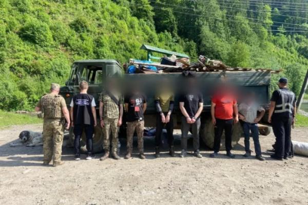 Ухилянти їхали до кордону разом зі свинями та козами: на Закарпатті викрили схему нелегального переправлення чоловіків1