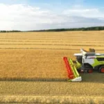 В Україні стартували жнива: зібрали понад 188 тисяч тонн зерна