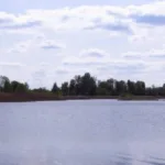 В Україні стартував процес створення нового національного парку «Ірдинське болото»