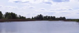 В Україні стартував процес створення нового національного парку «Ірдинське болото»
