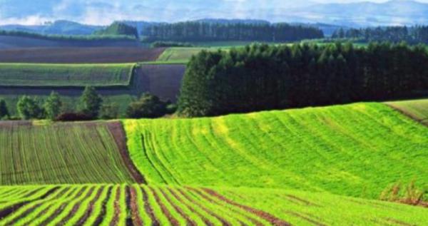 Волинь – серед найбільш конкурентніших регіонів земельних торгів