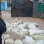 Двох працівників Нижньодністровського національного природного парку на Одещині судитимуть за браконьєрство