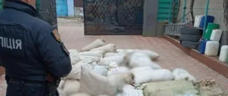 Двох працівників Нижньодністровського національного природного парку на Одещині судитимуть за браконьєрство