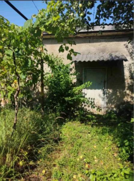 Фонд держмайна здає в оренду лазню в Мукачеві