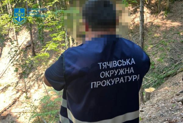 На Тячівщини викрили незаконну порубку лісу на території Краснянського лісництва