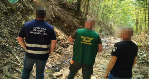 На Тячівщини викрили незаконну порубку лісу на території Краснянського лісництва