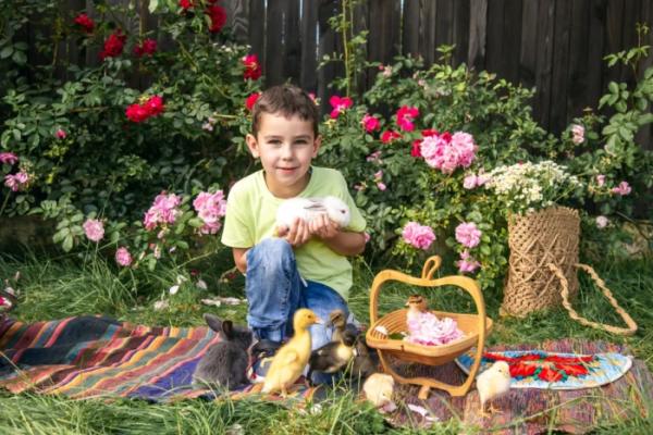 Нappiness in the village: на фотосесії у Рожищі зібрали 2811 гривень на авто для захисника4