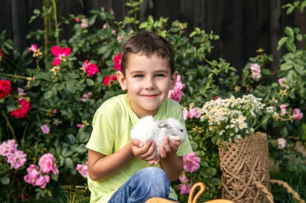 Нappiness in the village: на фотосесії у Рожищі зібрали 2811 гривень на авто для захисника3