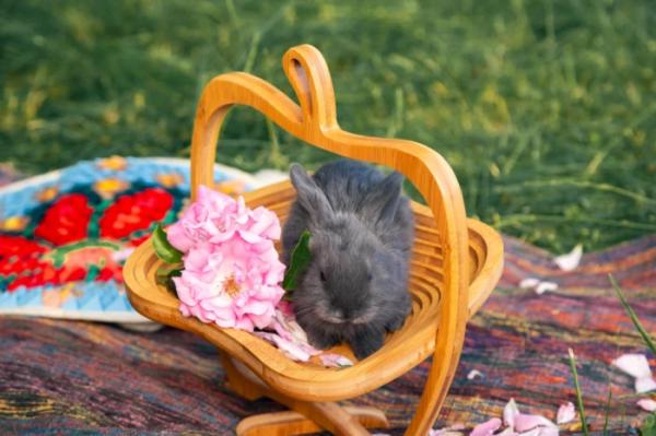 Нappiness in the village: на фотосесії у Рожищі зібрали 2811 гривень на авто для захисника17