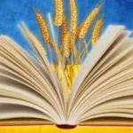 Росіяни розповідають, що в окупованій Херсонщині «знижується інтерес» до української мови