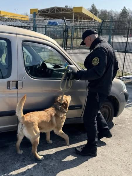 У Ягодині службовий собака виявив наркотичну речовину2