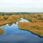 У Линівці в річці втопився чоловік
