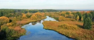У Линівці в річці втопився чоловік