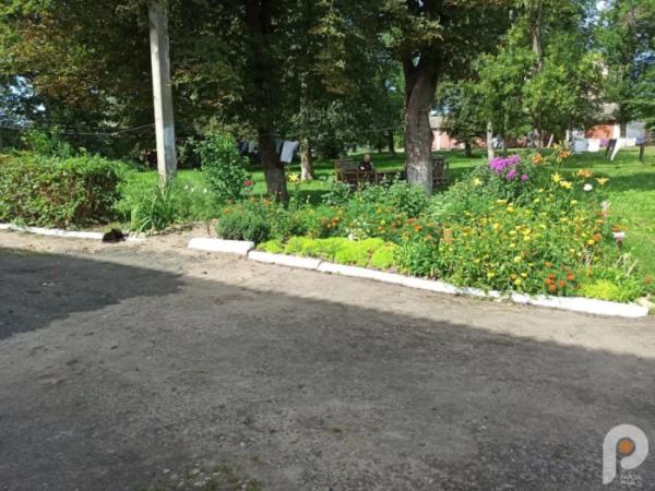 Біля гуртожитка дуже красива клумба. Нею опікується жителька Альона