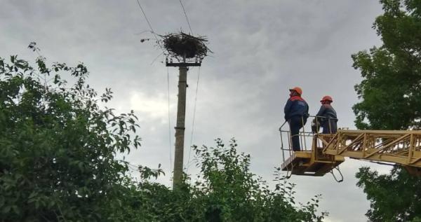 У Вічинях працівники «Волиньобленерго» врятували лелече гніздо