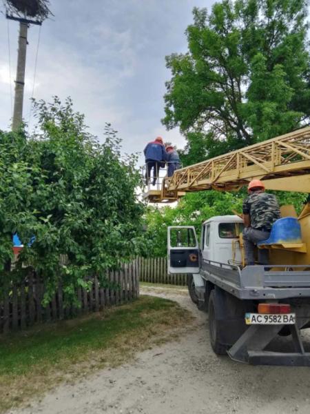 У Вічинях працівники «Волиньобленерго» врятували лелече гніздо2