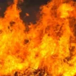 В Одеському районі сталася масштабна пожежа: горіли дачі та суха трава