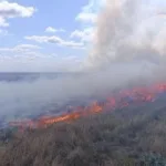 В окупованому заповіднику «Асканія-Нова» два дні вирувала пожежа, спричинена російською ППО