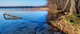 В озері Нобель втопився чоловік
