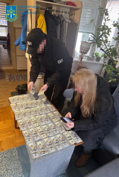 В Ужгороді лікарі-кардіологи за хабарі оформлювали довідки для отримання інвалідності: їх судитимуть