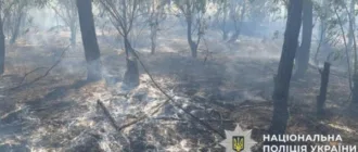 Ворог атакує Бериславщину: сталась пожежа в парку «Кам'янська Січ»