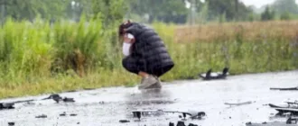 Жахлива ДТП біля села Антонівка: сім годин медики Березнівської лікарні боролися за життя рівнянина