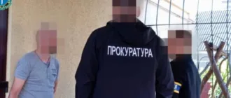 Два головних інспектори Ягодинської митниці пропускали незадекларований товар