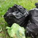 Мешканці будинку у Луцьку зняли на відео жінку, що підкидає сміття