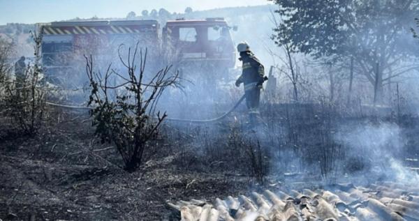 На Миколаївщині рятувальники ліквідували дві пожежі, які виниклі внаслідок ворожих атак