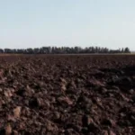 Суд оштрафував володимирчанина за самовільну оранку чужої землі в селі Льотниче