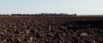 Суд оштрафував володимирчанина за самовільну оранку чужої землі в селі Льотниче