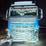 Водій із Козлина помер у лікарні внаслідок аварії з косулею та вантажівкою