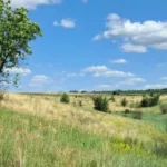 Ботанічну пам’ятку природи «Мала Асканія-Нова» створять на Кіровоградщині