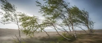 На Рівненщині загалом та Острожчині зокрема до кінця доби прогнозують сильний вітер