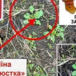 В Херсоні окупанти дистанційно мінують дороги загального користування і тротуари в центрі міста