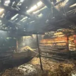 За секунди до трагедії: на Берегівщині рятувальники врятували з вогню 5-річного хлопчика