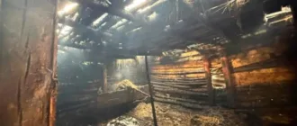 За секунди до трагедії: на Берегівщині рятувальники врятували з вогню 5-річного хлопчика