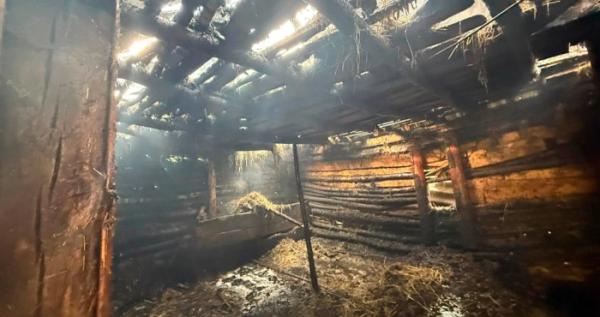 За секунди до трагедії: на Берегівщині рятувальники врятували з вогню 5-річного хлопчика