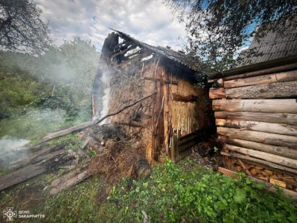 За секунди до трагедії: на Берегівщині рятувальники врятували з вогню 5-річного хлопчика