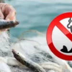 Окупанти в Генічеську погрожують кримінальними справами за риболовлю у морі та Сиваші