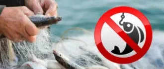 Окупанти в Генічеську погрожують кримінальними справами за риболовлю у морі та Сиваші