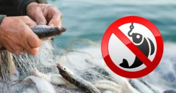 Окупанти заборонили риболовлю в Генічеську