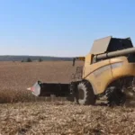 Продукція агрохолдингів у Луцькому районі може подорожчати через процес збору і сушіння врожаю
