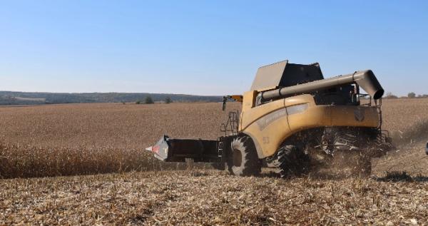 Продукція агрохолдингів у Луцькому районі може подорожчати через процес збору і сушіння врожаю