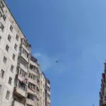 У Луцьку розшукують домівку для кошенят, які живуть біля зруйнованої обстрілом дев'ятиповерхівки