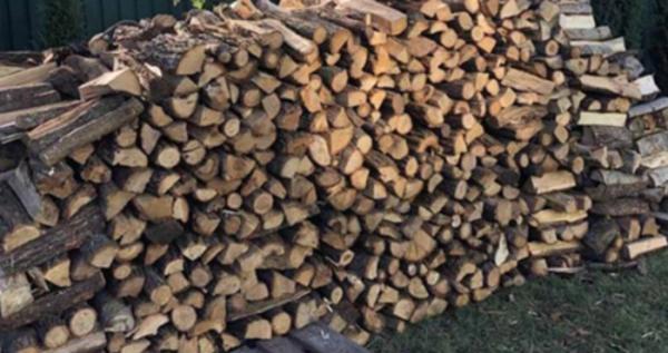 Фото ілюстративне Фото ілюстративне